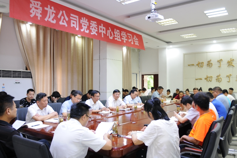 舜龍公司召開“講忠誠、嚴(yán)紀(jì)律、立政德”專題警示教育動員會